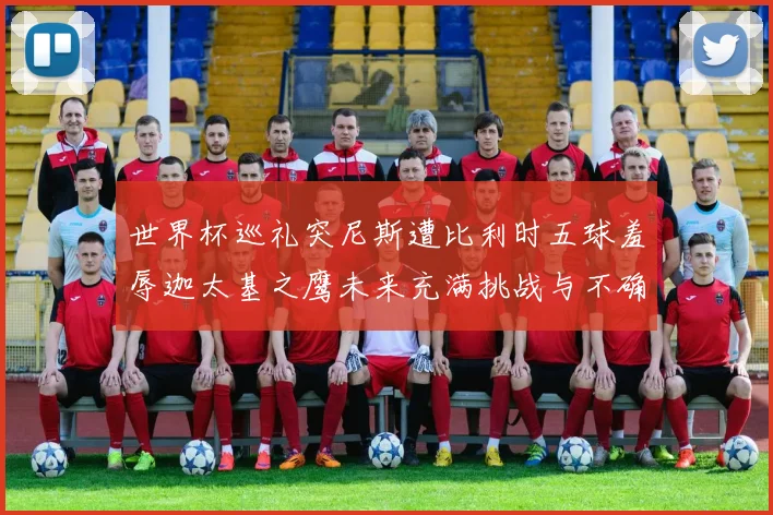 世界杯巡礼突尼斯遭比利时五球羞辱迦太基之鹰未来充满挑战与不确定性