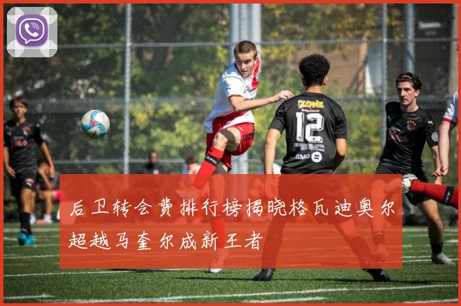 后卫转会费排行榜揭晓格瓦迪奥尔超越马奎尔成新王者